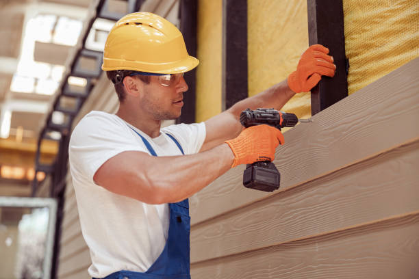 Best Vinyl Siding Installation  in Wells, NV